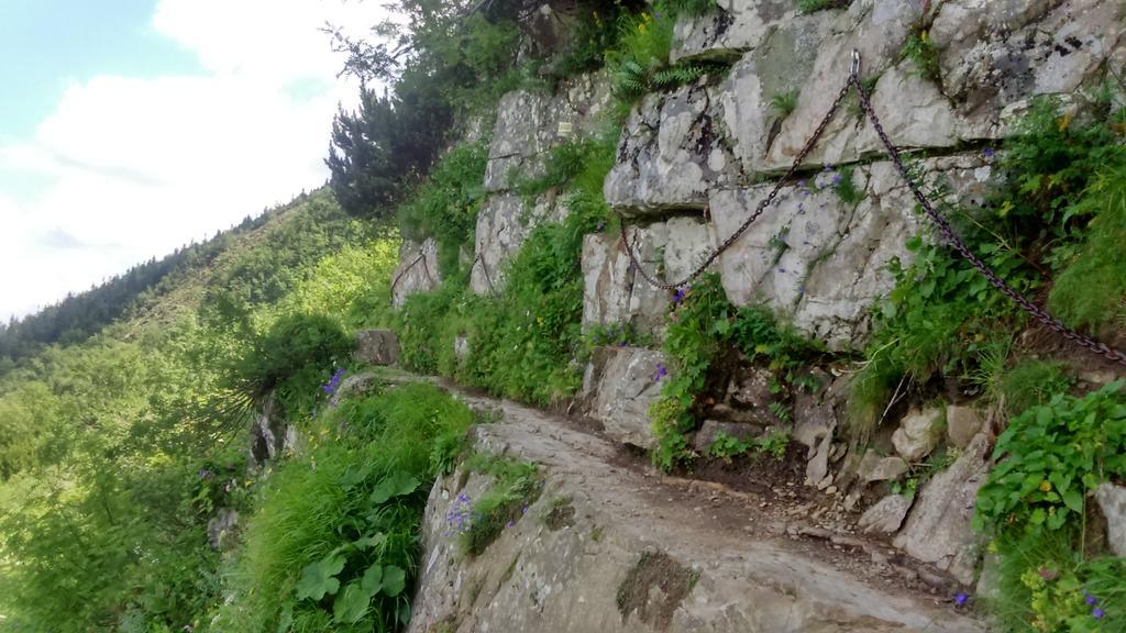 Agroturystyka Lesny Zakatek Стришава Екстериор снимка